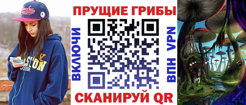 Псилоцибиновые грибы Psilocybine cubensis Петропавловск-Камчатский