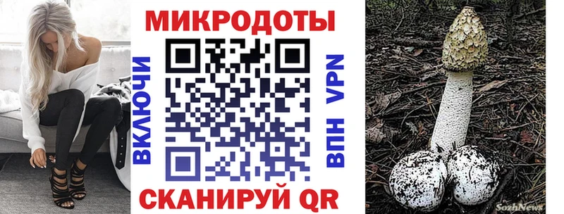 мега   купить наркотики цена  Петропавловск-Камчатский  Псилоцибиновые грибы MAGIC MUSHROOMS 
