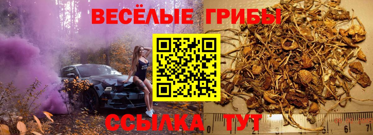 Галлюциногенные грибы прущие грибы Петропавловск-Камчатский